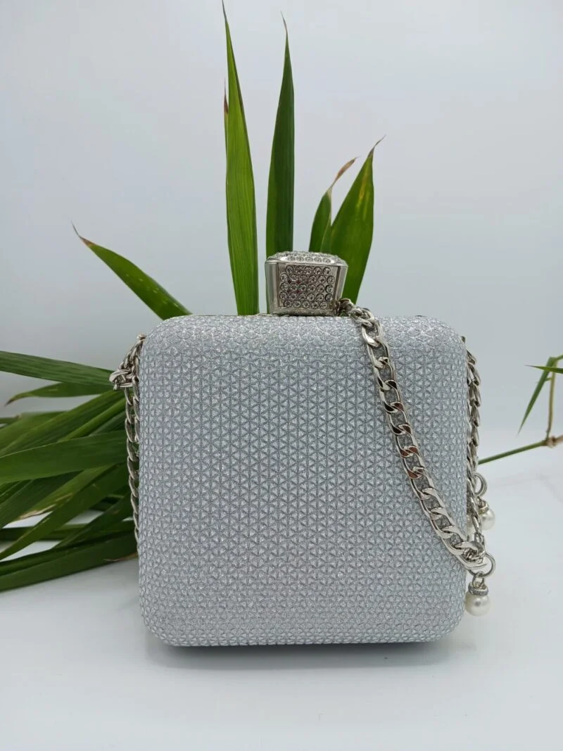 Clutch Purse